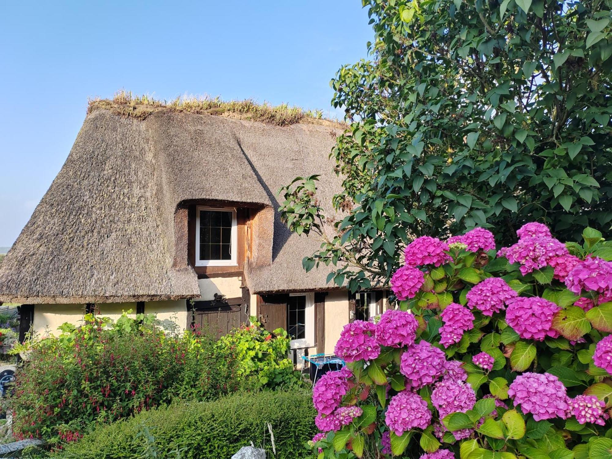 La Maraiquaise Villa Marais-Vernier Ngoại thất bức ảnh